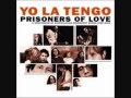 Yo La Tengo - Swing For Life