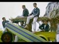 The Beach Boys - Let's Go Trippin Live