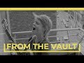 WALLIS BIRD - TO MY BONES (BalconyTV)