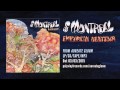 of Montreal - Empyrean Abattoir [OFFICIAL AUDIO VIDEO]