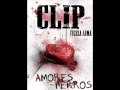 Clip - Amores Perros