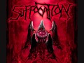 Suffocation - Dismal Dream (w/Lyrics)