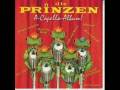Die Prinzen - Mann im Mond [A Capella]