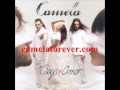 Sin tu amor - Camela