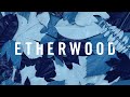 Etherwood - The Rain Will Fall (feat. LSB)