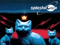 Splashdown - Games You Play