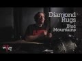 Diamond Rugs - Blue Mountains (Live at WFUV)