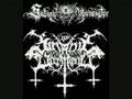 Satanic Warmaster - Legion Werewolf