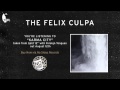 The Felix Culpa - Karma City (Split with Foreign Tongues out August 12th)