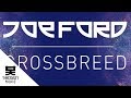 Joe Ford & Icicle - Crossbreed