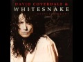 Whitesnake - All Inthe Name Of Love