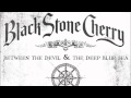 Black Stone Cherry - All I'm Dreamin' Of (Audio)