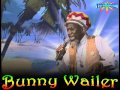 Bunny Wailer - Stay With The Reggae
