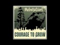 Safe And Sound - Rebelution