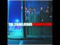 THE CHARLATANS - Wake up