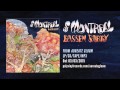 of Montreal - Bassem Sabry [OFFICIAL AUDIO]
