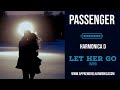 Passenger - Let Her Go - Harmonica D
