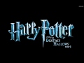 14 - Ron Leaves - Harry Potter and the Deathly Hallows Soundtrack (Alexandre Desplat)
