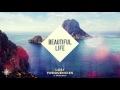 Lost Frequencies - Beautiful Life feat. Sandro Cavazza (Cover Art)