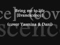 Yasmin Libertad & Daniel Garcia - Bring me to life [Evanescence cover]