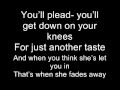 Kings of leon - molly's chambers lyrics