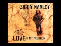 Ziggy Marley - Still The Storms | Love Is My Religion