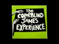 The Colorblind James Experience - Fledgling Circus