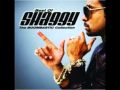 Mr. Boombastic - Shaggy