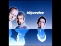 Boyzvoice - We Are The Playmomen