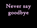 Bon Jovi - Never Say Goodbye (Lyrics)