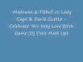 Madonna & Pitbull vs. Gaga &  Guetta - Celebrate This Sexy Love Bitch Game (Dj Dave Mash Up)
