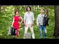 Coldplay - Hymn For The Weekend (Instrumental Accordion cover by Moscow Night Group)
