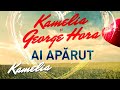 Kamelia & George Hora - Ai aparut (Audio)
