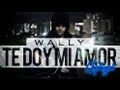WALLY - TE DOY MI AMOR (UNPLUGGED)
