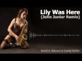 David A. Stewart, Candy Dulfer - Lily Was Here 2012 (John Junior Remix)