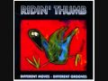 Ridin' Thumb - Feed The Cat (Danish FUNK/SOUL)