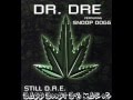 Dr. Dre feat Snoop Dogg - Still D.R.E (Clean Bass Boost)