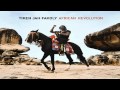 Tiken Jah Fakoly -  Sinimory [AFRICAN REVOLUTION - 2010]