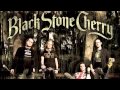 Black Stone Cherry - Devil's Queen (Audio)