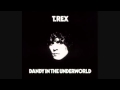 T.Rex - Pain & Love