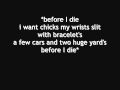 Professor Green - Before I Die (LYRICS!)