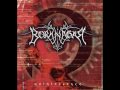 Icon Dreams - Borknagar