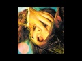 The Flaming Lips - Virgo Self-Esteem Broadcast