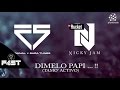 Dimelo Papi - Nicky Jam Vs FAINAL + SARA TUNES