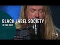 Black Label Society  - In This River (Unblackened)