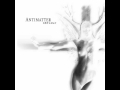 Antimatter - The Last Laugh