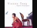 Vienna Teng - Hope On Fire