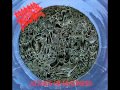 Morbid Angel - Immortal Rites