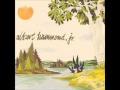 Albert Hammond Jr. - Scared