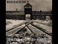Birkenau  ( I shalt become ) - In The Falling Snow
